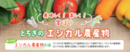 おいしい！ぐんまの有機野菜